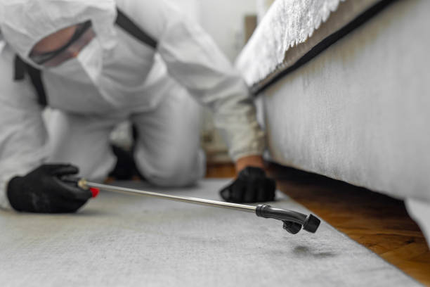 Professional Pest Control technician working in Harney County County, OR